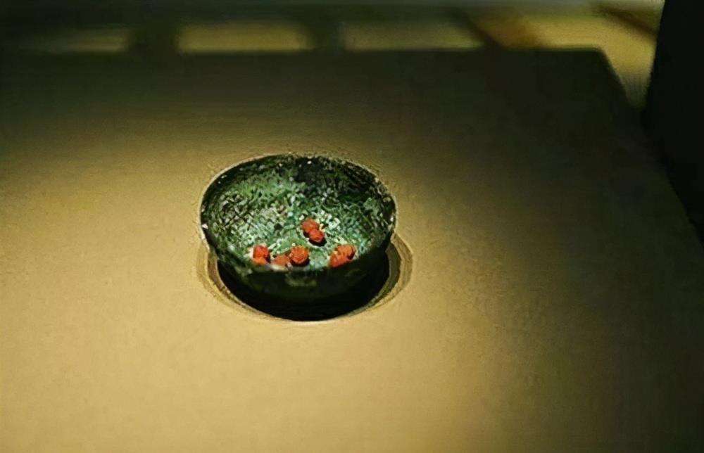 古墓挖出千年仙药图,考古家挖开古墓发现不老仙丹