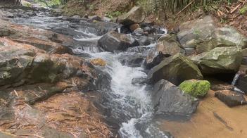 广州夏日避暑指南,广州夏日避暑胜地室内