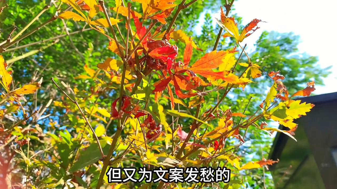 怎么正确找热点蹭热点,关联小热点怎么蹭热点