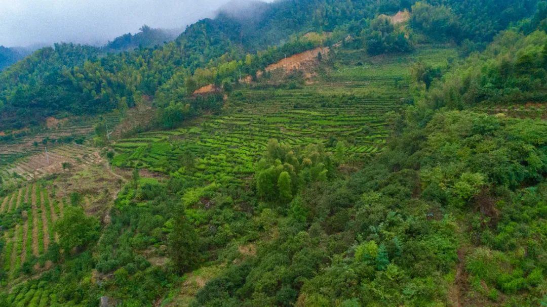 万里茶道第一镇铅山休闲一日游,铅山县万里茶道世界遗产