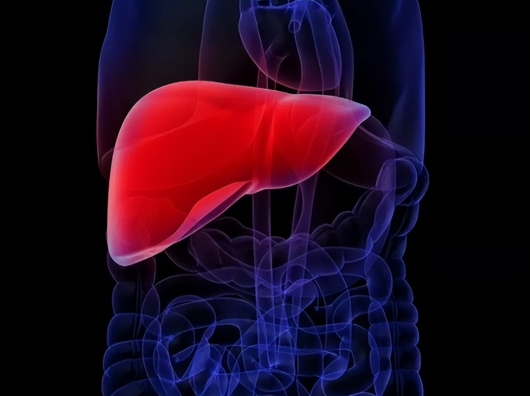 指甲竖纹与肝脏的关系,指甲盖有竖纹凸起是肝有病吗