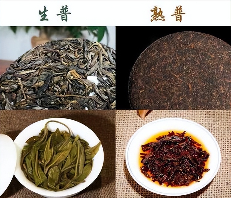 寒冷的冬天来了冬季喝什么茶好,冬季喝的茶首选什么茶