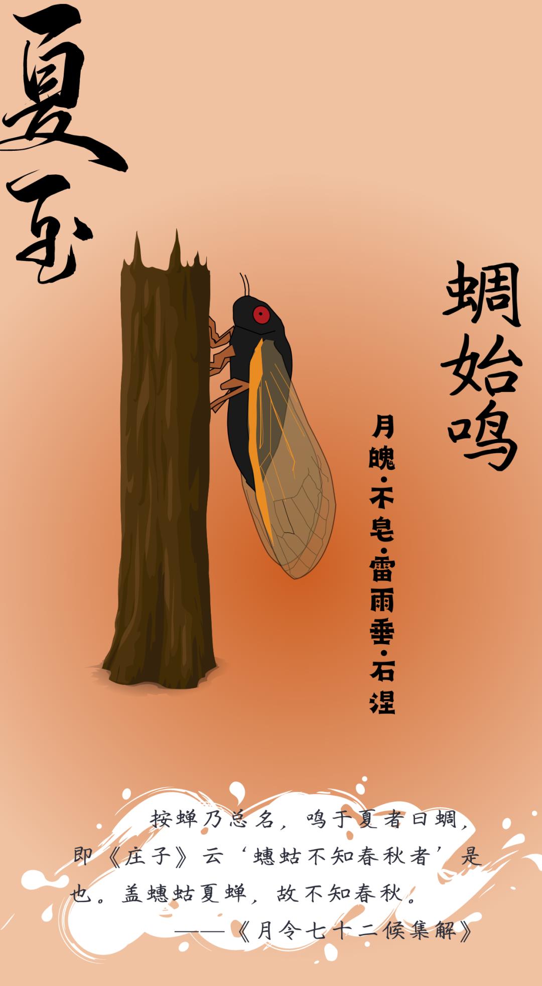 夏至如约而至白昼最长的一天,夏至夏日已至