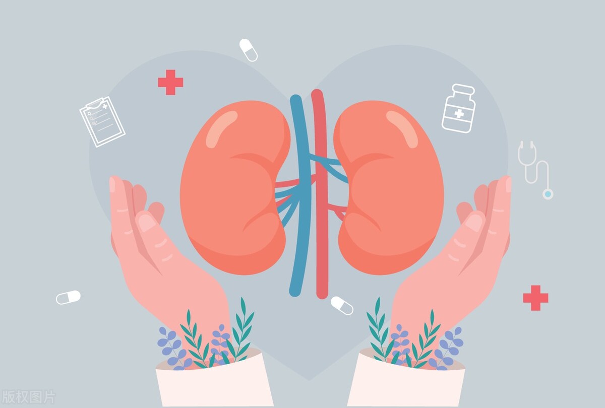 归脾丸搭配什么药补肾阳效果最好,归脾丸搭配什么药补肾效果最好