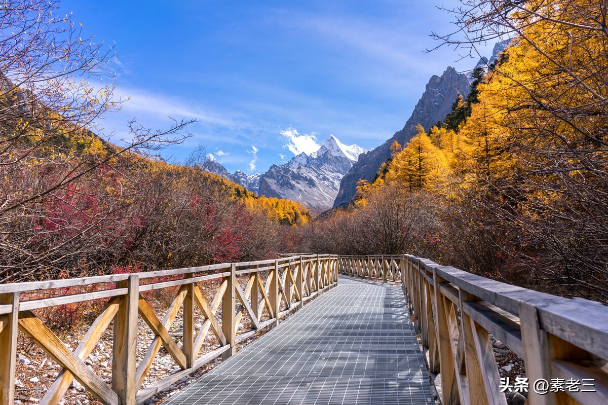 女作家去做保姆336,女作家去做保姆398