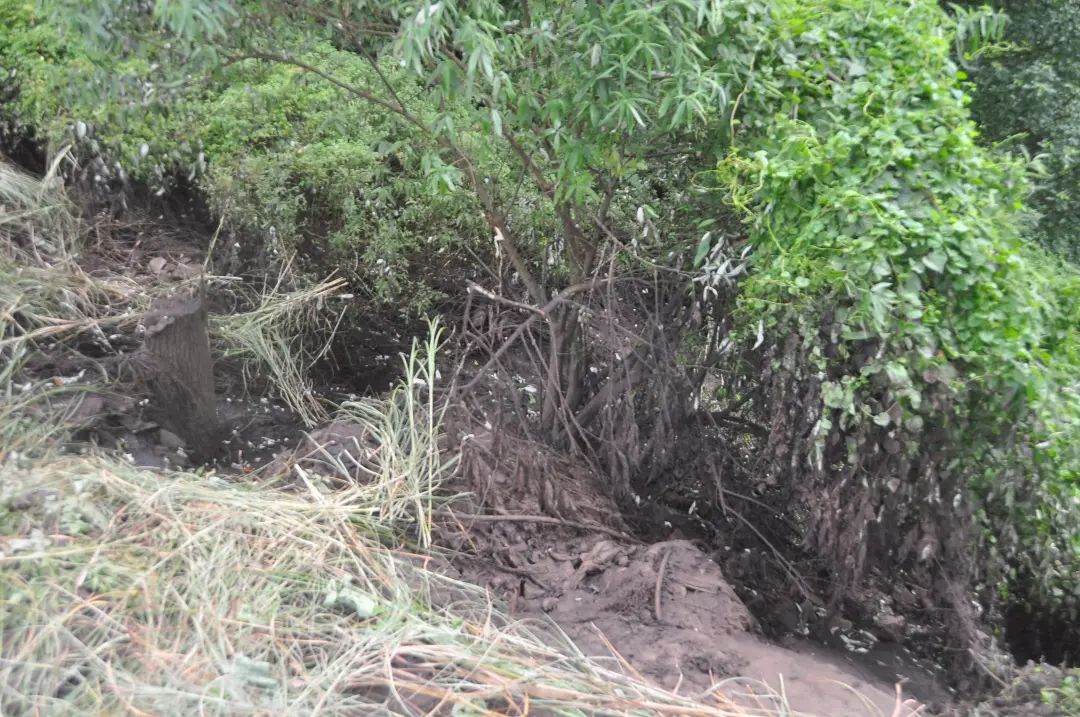 打击危险废物环境违法犯罪总结,固体废物污染环境防治刑事处罚