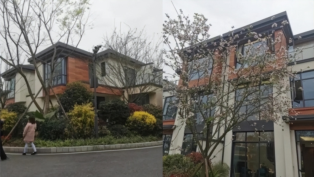 张嘉倪空壳太太,空壳太太