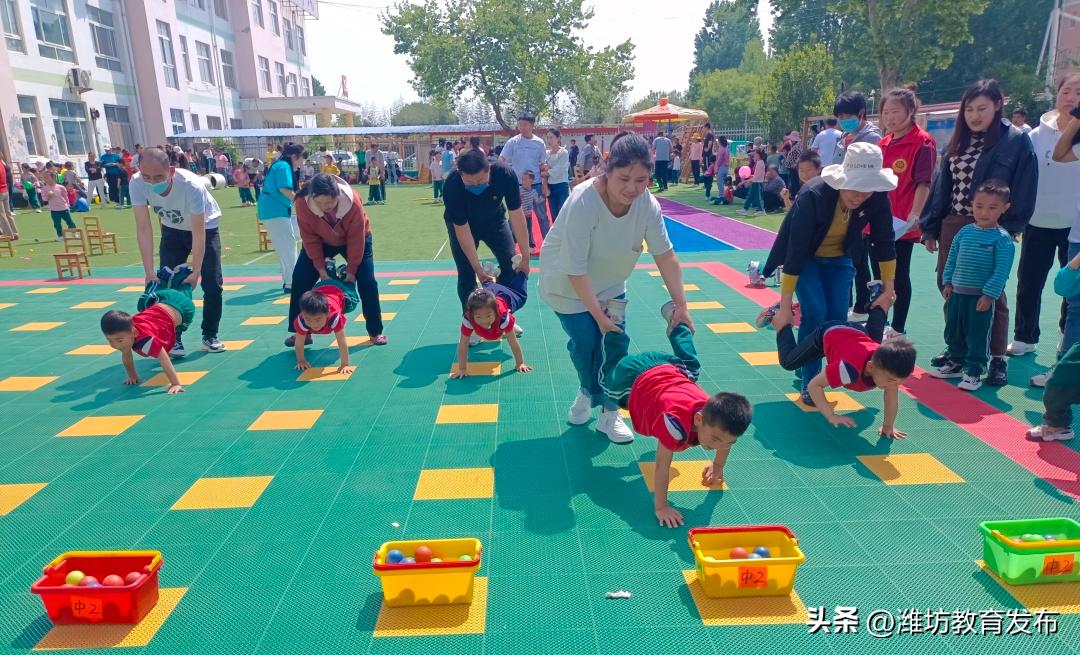 潍坊校园新闻周播报,最新新闻周播报