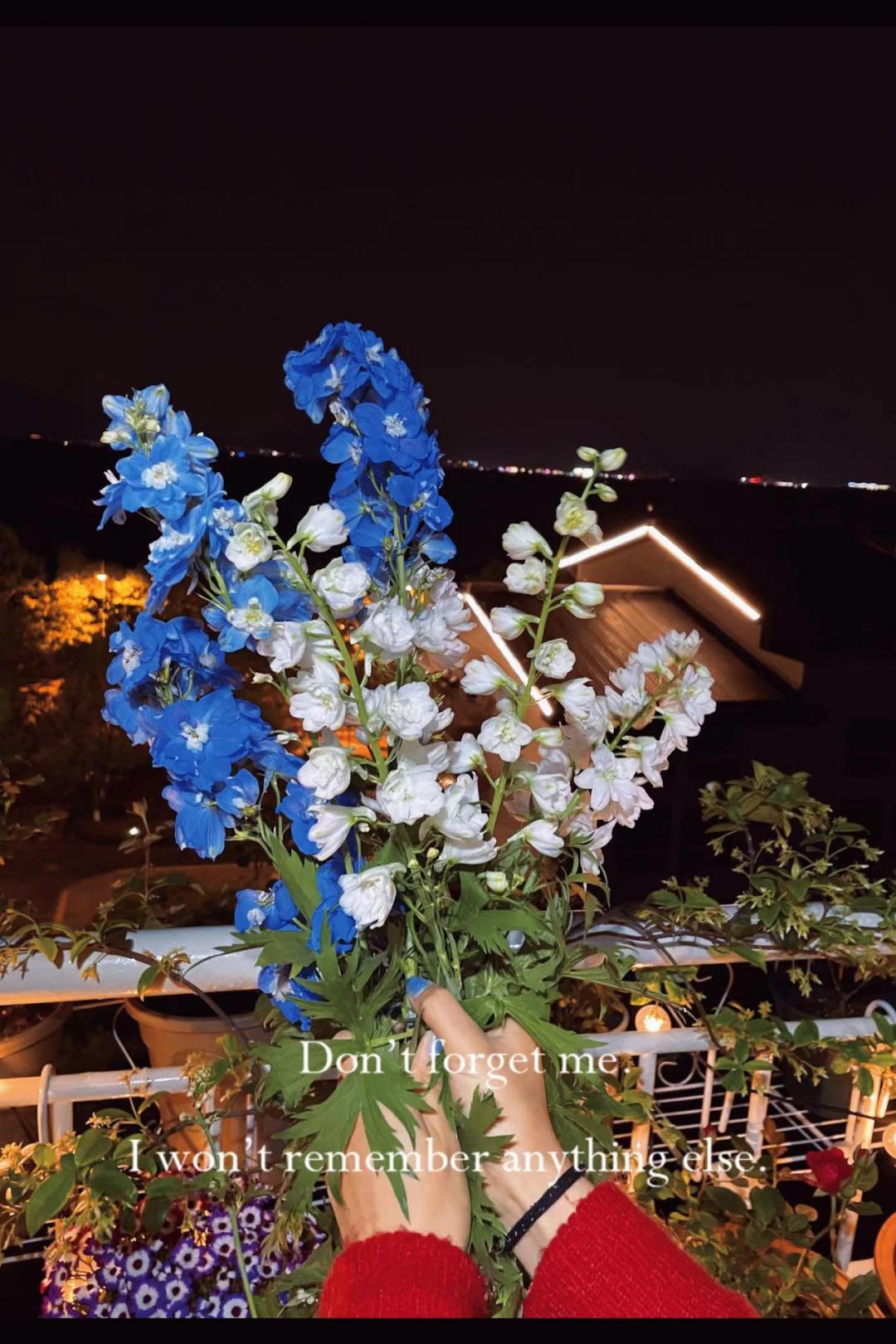 红蜘蛛大面积怎么防治,蓟马红蜘蛛怎么来的