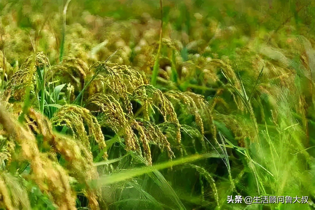 天津文化自然遗产,天津市物质文化遗产名单