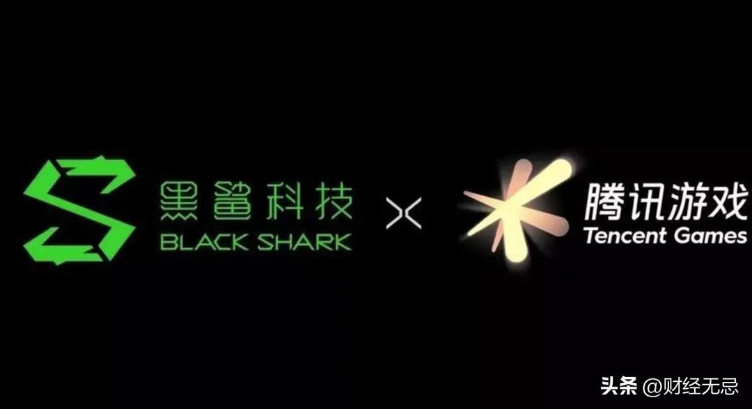 黑鲨的所有讲解,黑鲨讲述自己经历