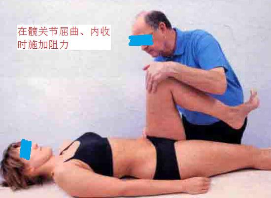 下肢的pnf技术训练,pnf技术的基本上肢运动模式