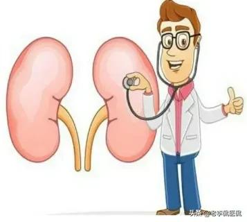 肾气足百病除,肾气足百病除下一句