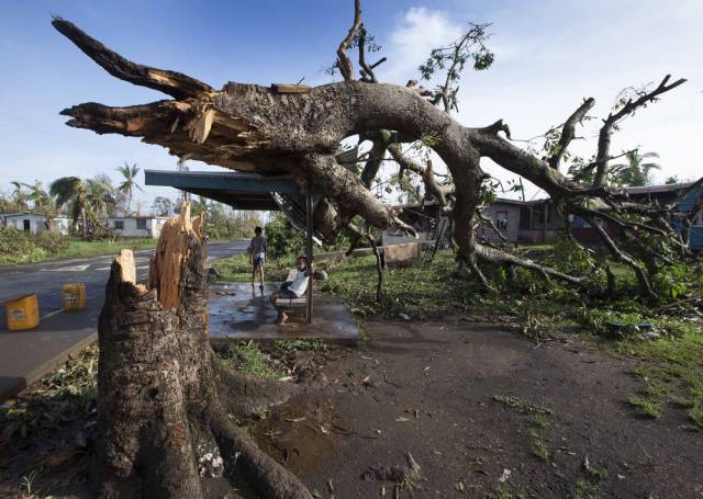 100个难得一见照片，砍伐巨树，运输军舰的巨轮，治疗风湿病的熊