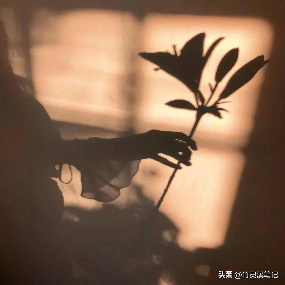 人生感悟让你瞬间清醒的十句箴言,你必明白的人生十大哲理