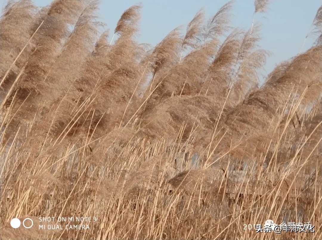 《穿越乡野时空》穿着（4-2）：尿素袋争做衣服的艰难岁月