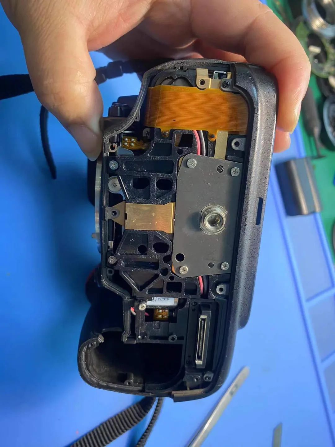 夏天要注意的六件事,对焦失灵的情况有哪些