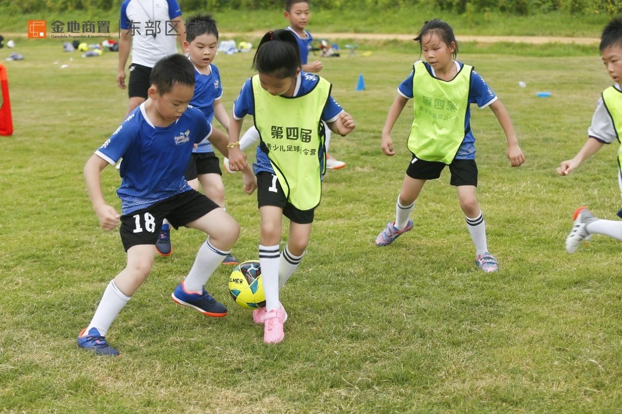 金地商置东部区域有限公司,金地商置东部区域