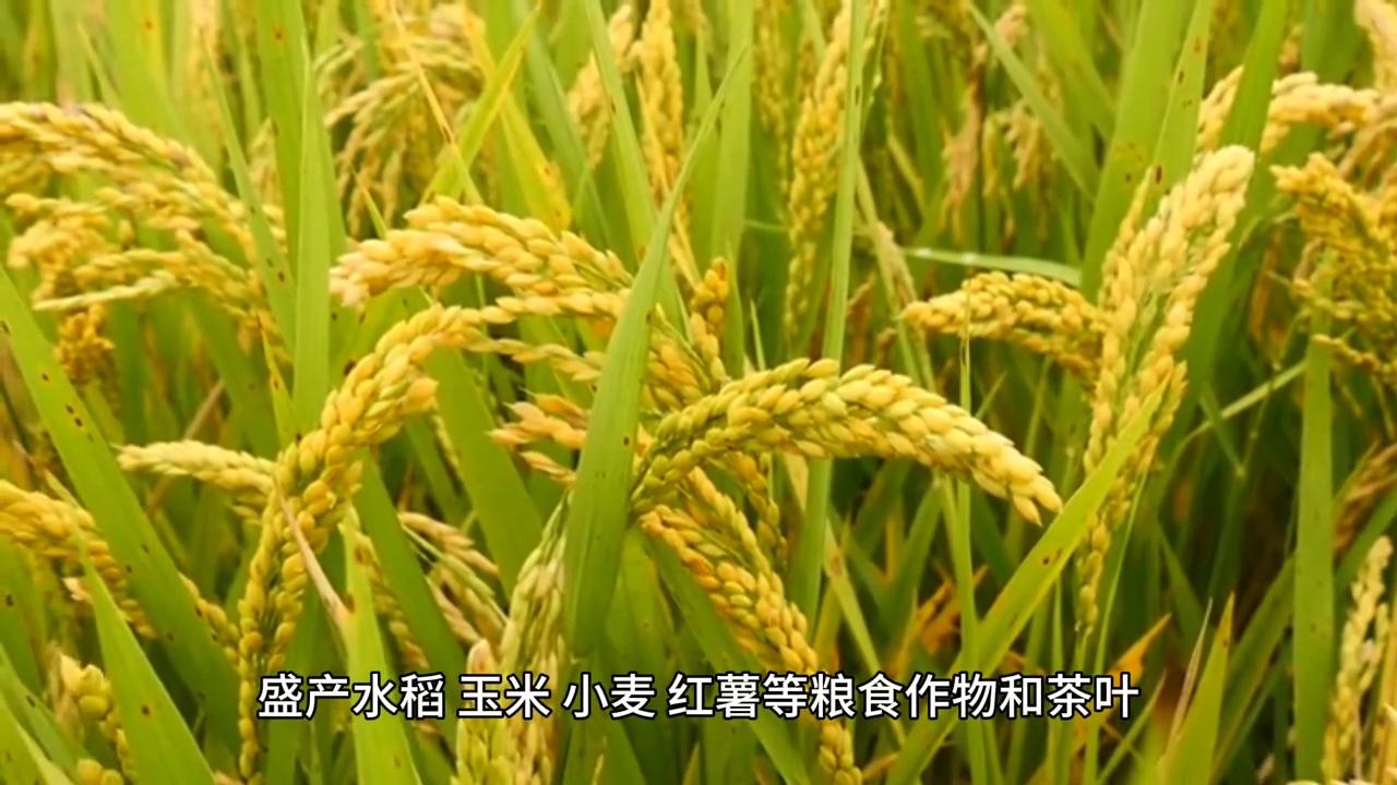 湖南省娄底市涟源市荷塘镇,湖南省娄底市涟源市天气