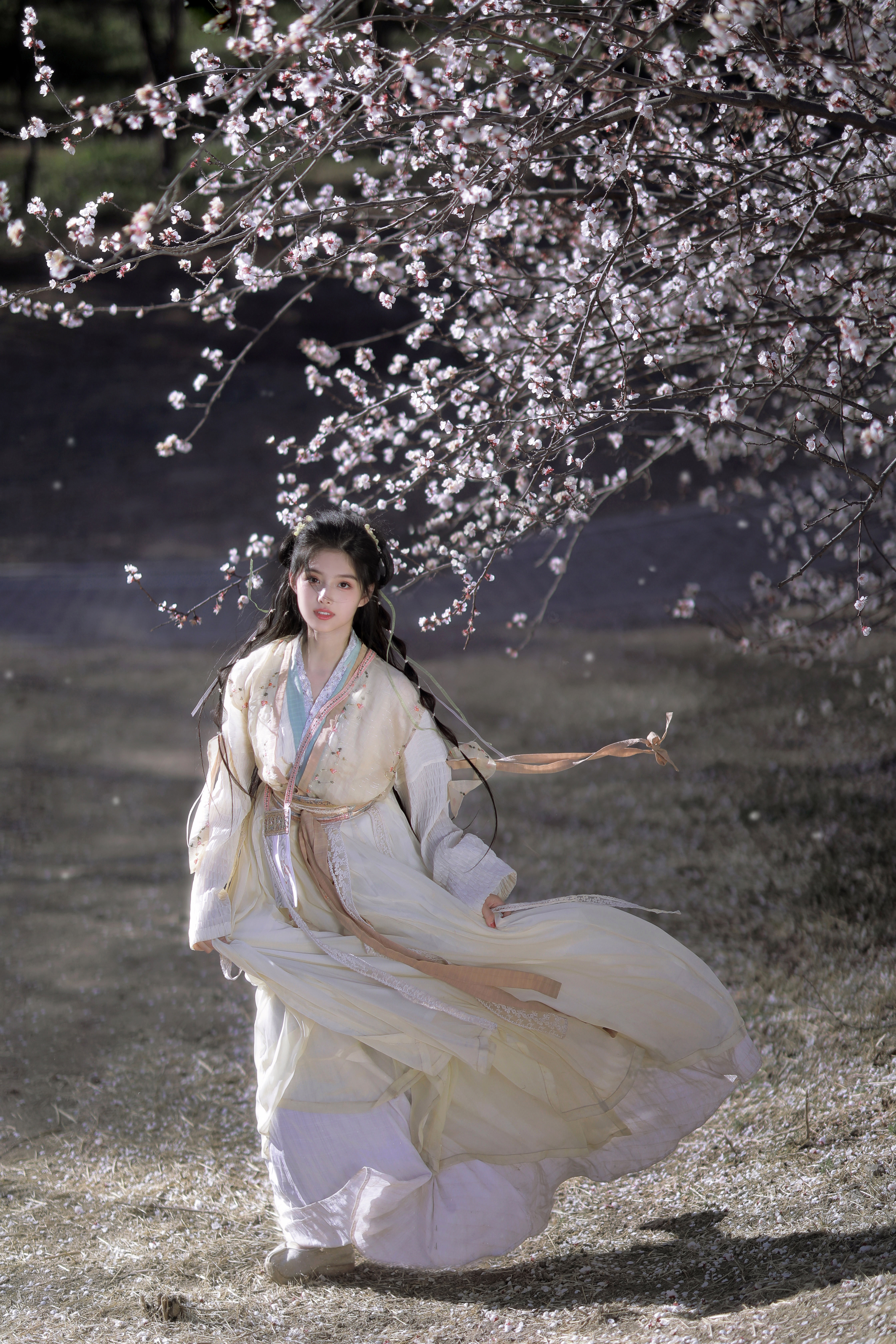 国风如画,国风汉服写真