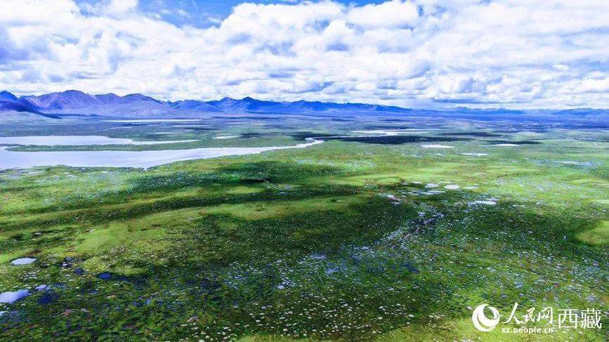 雪山下的某个小镇,雪山下的梦幻球场