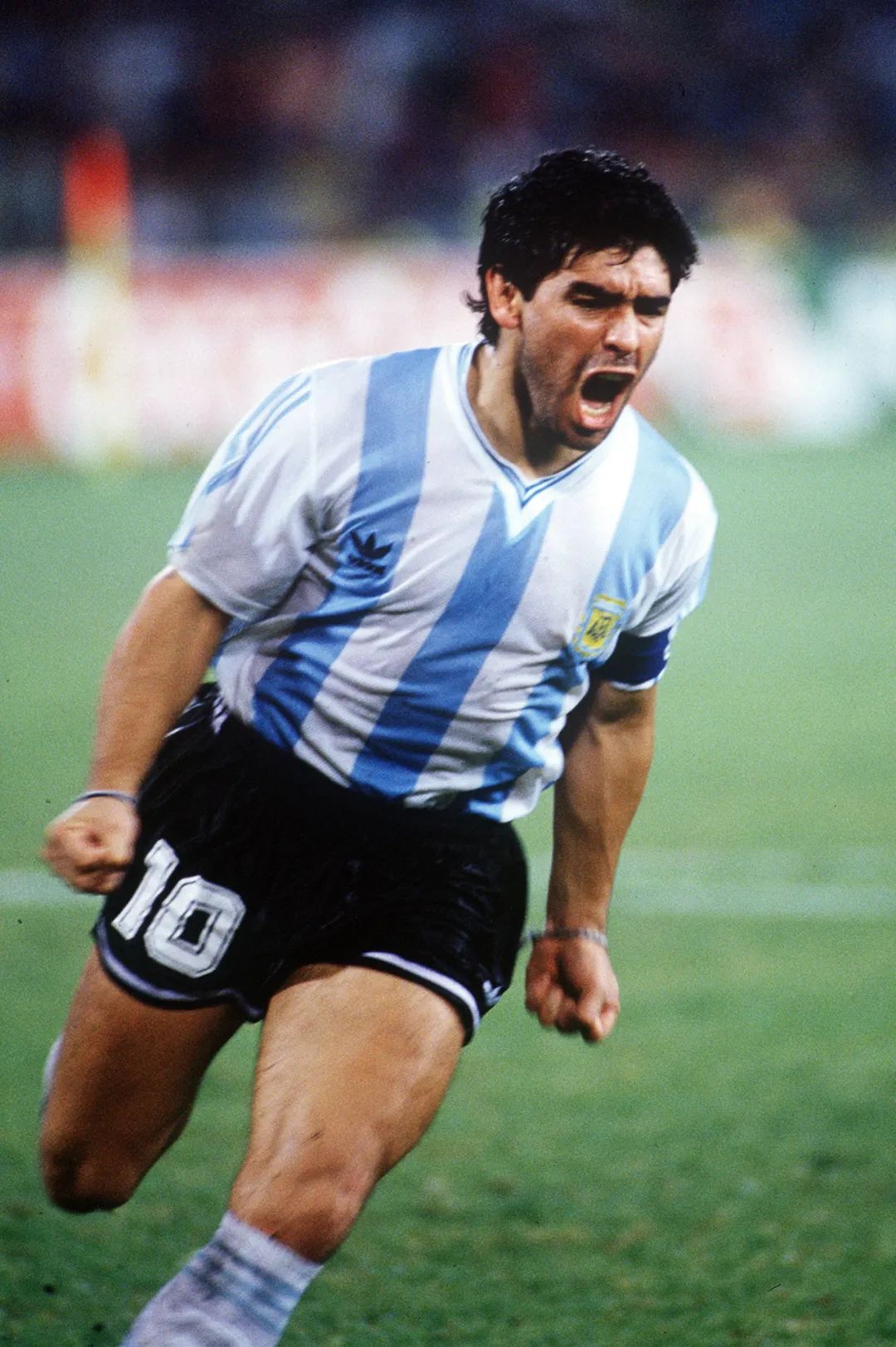 长大后才明白足球道理,通过足球我学到什么道理