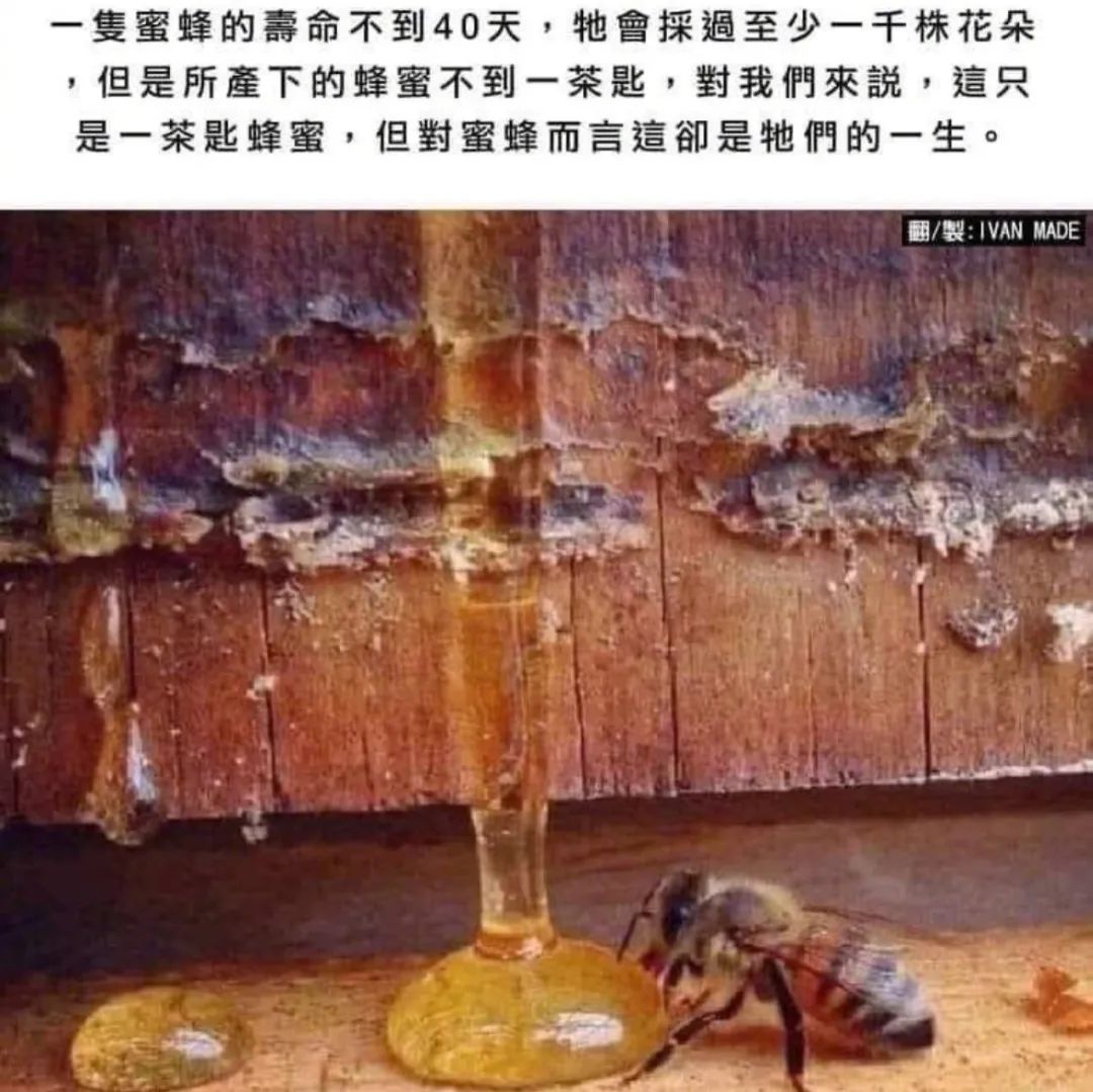 ​好喜欢幽默的互联网友人|冷段子2299去年今日1941