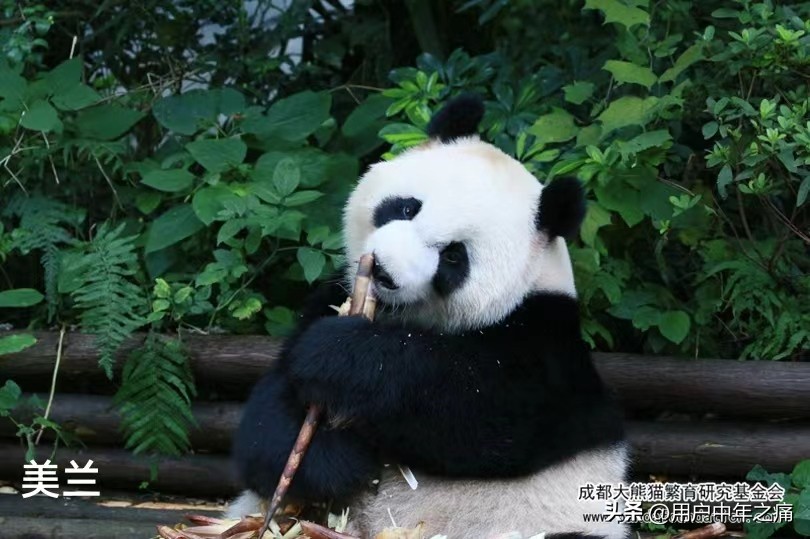 天之骄女是哪一年的,天之骄女重生归来小说