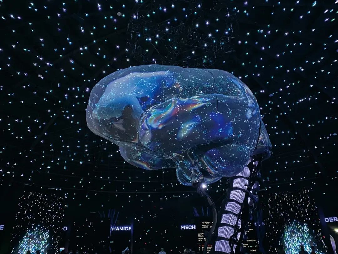 迪拜世博会中国馆复兴号,迪拜世博会彩绘飞机