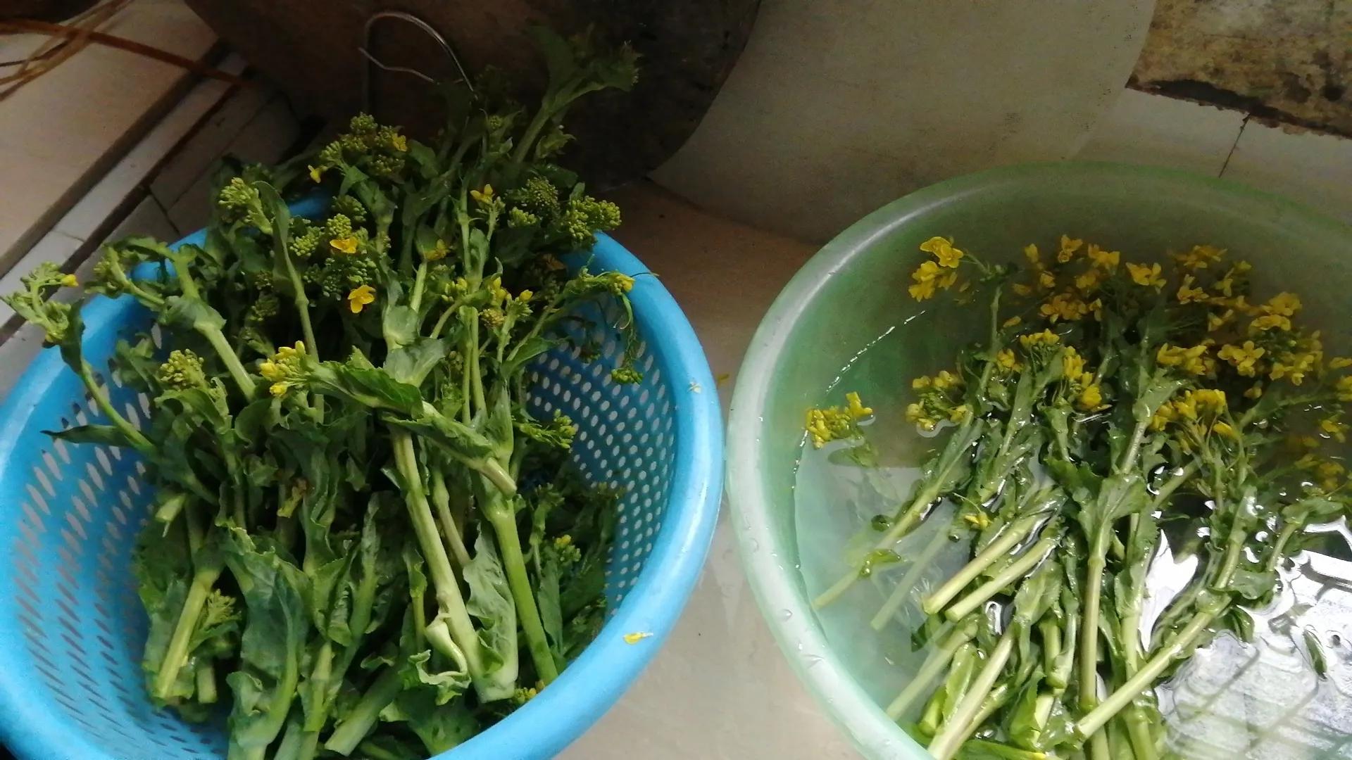 2023.2.25周六 日记2（2月24日）好友的心语