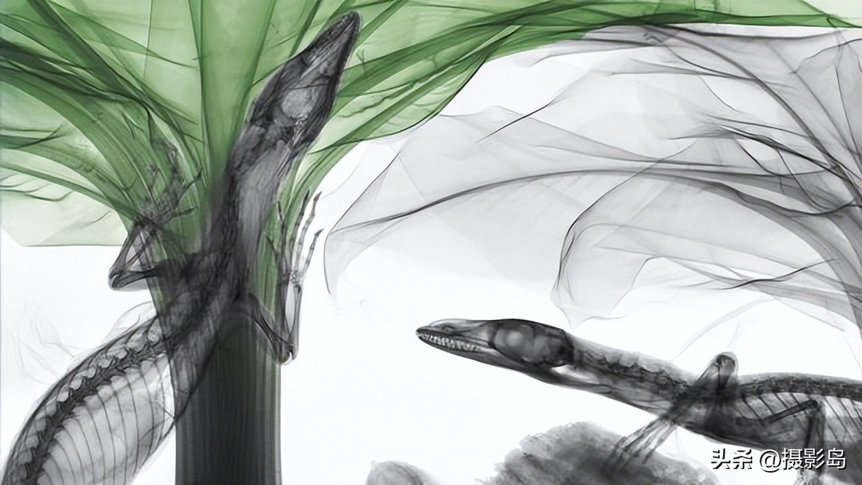 x射线数字成像检测专家,x射线专家