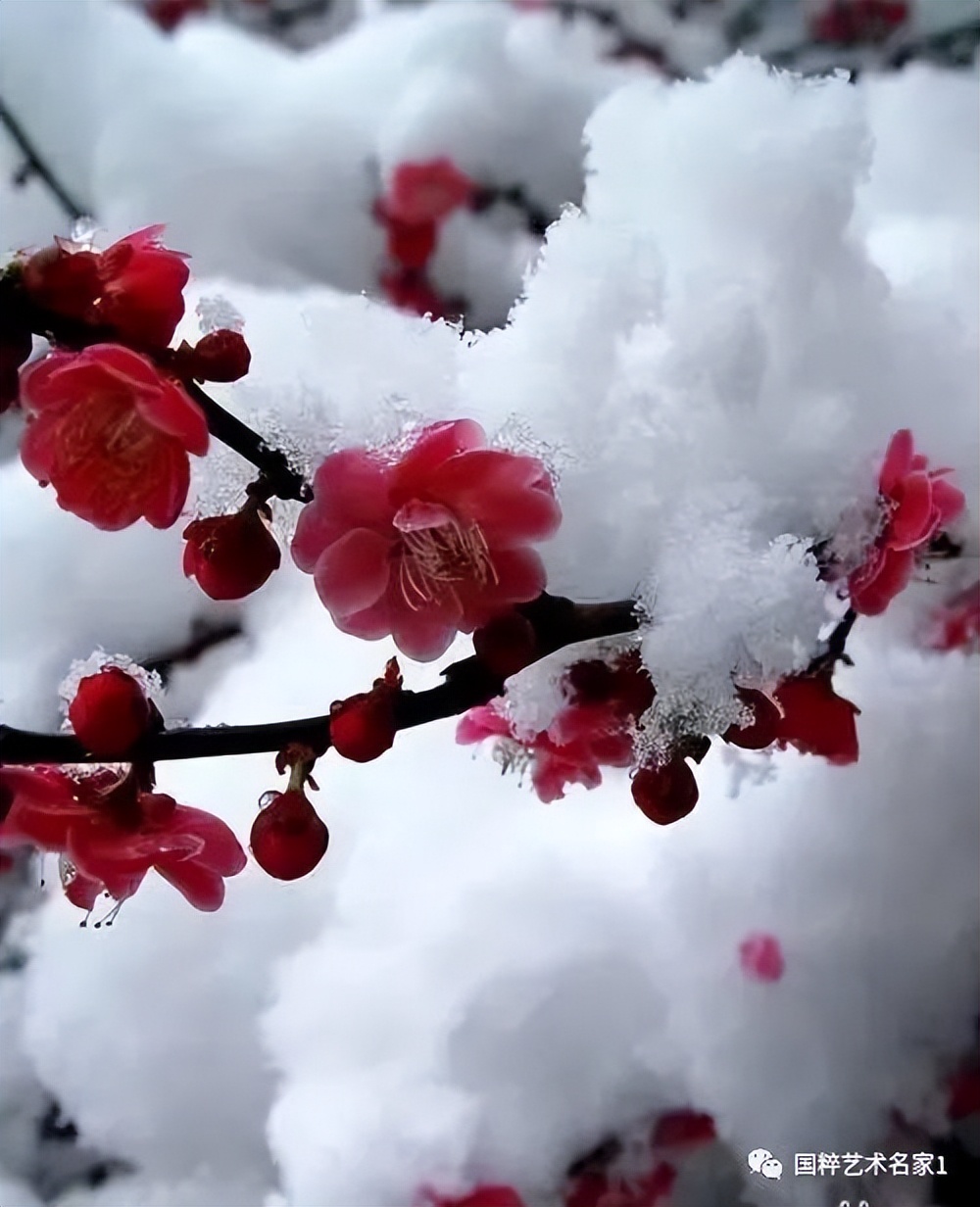 国粹艺术名家刘福生,海丰陈汉洲书法