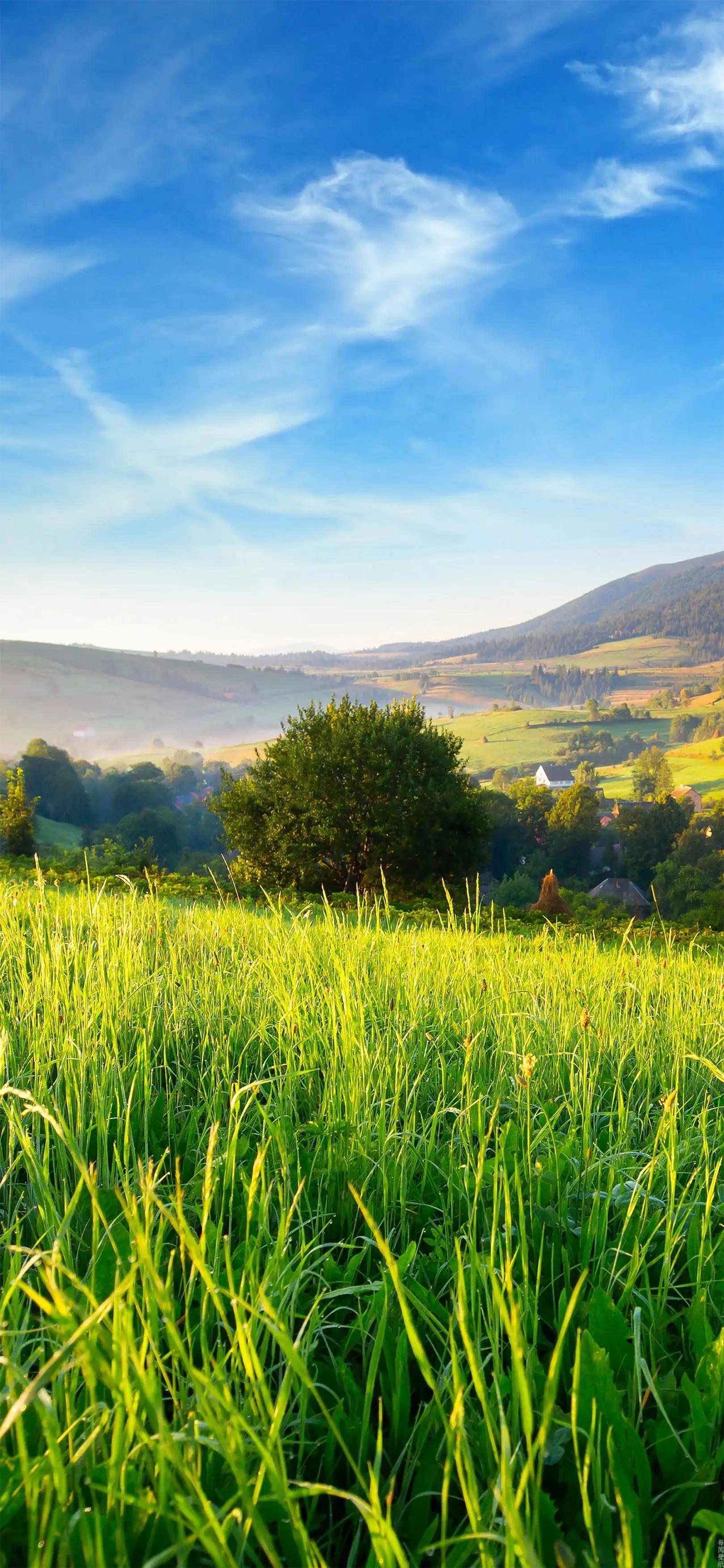 心旷神怡风景壁纸,100张绝美自然风景壁纸