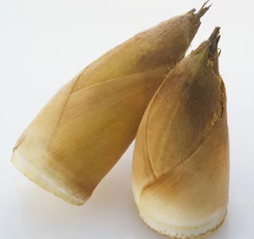 哪里的冬笋特别好吃,新鲜冬笋人间至味鲜美无比