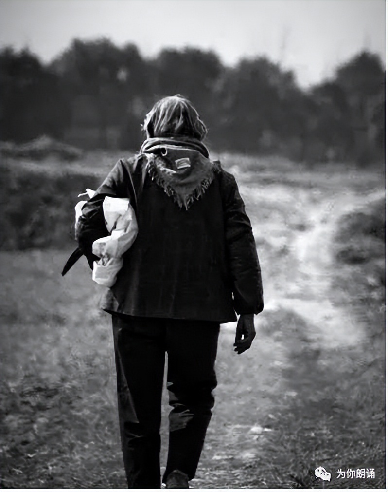 我的母亲我的娘,我的母亲二月河