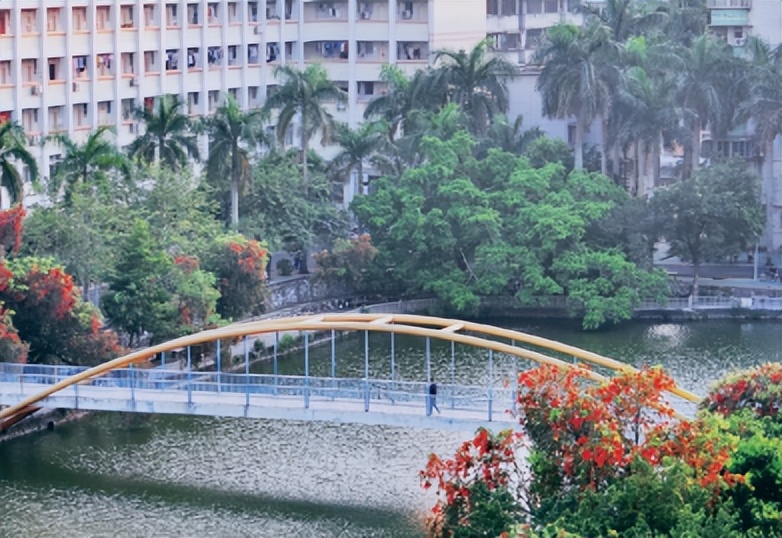 报考广东医科大学需要什么条件,广东医科大学提前批征集志愿2023