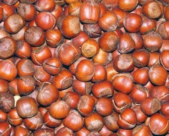 农民卖谷物加工品要税吗,农民卖土地要开票吗