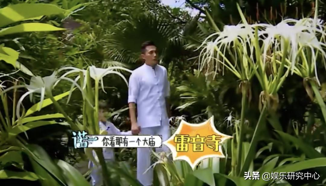 你敢信？七年前的老综现在称霸内娱