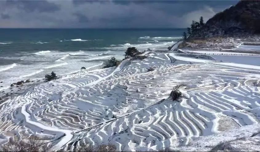 日本的冬天太漫长了,日本的冬天富士山