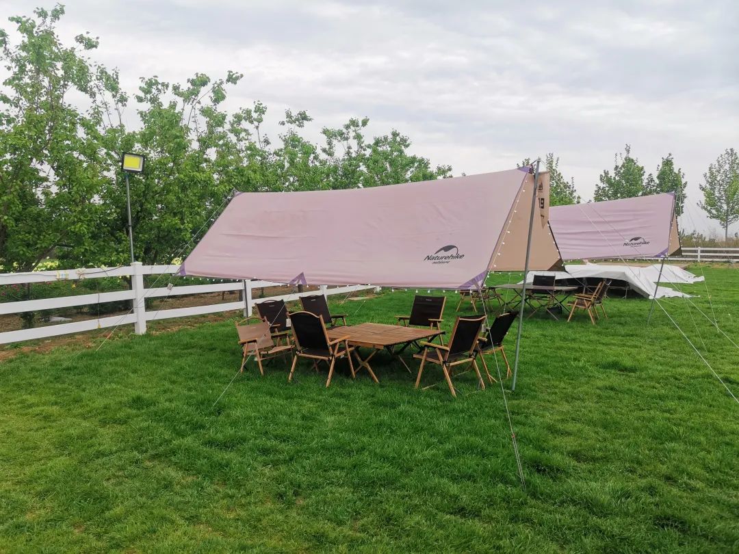 假日模式开启,假日模式怎么玩儿