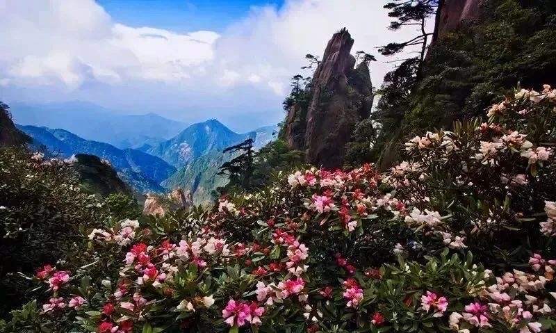 高高的紫云山,我们的青春故事曾在这里演绎