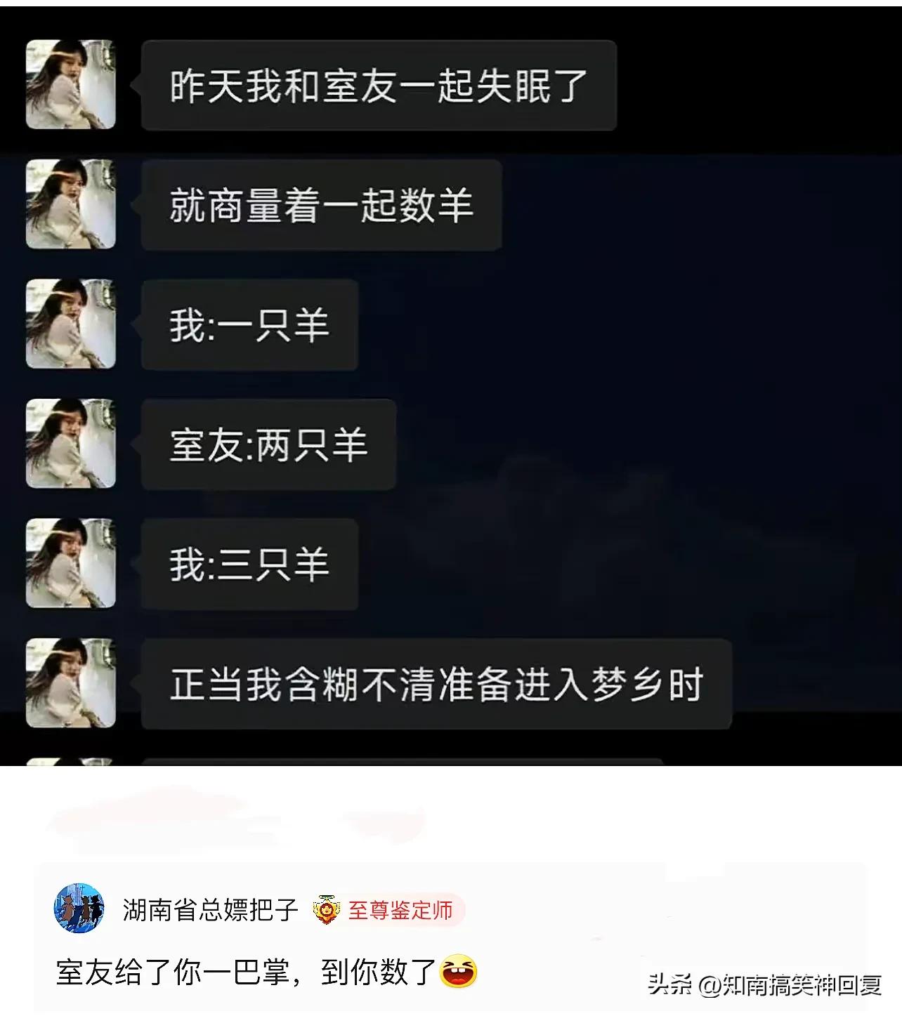 神回复绝了全是套路,神回复如果是你你会怎么选