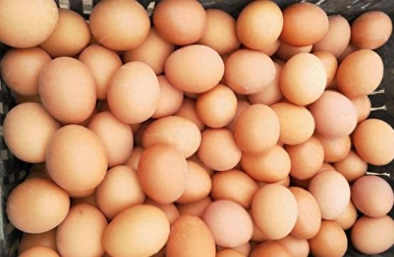 养殖怎么选鸡蛋,市场如何选鸡蛋品种