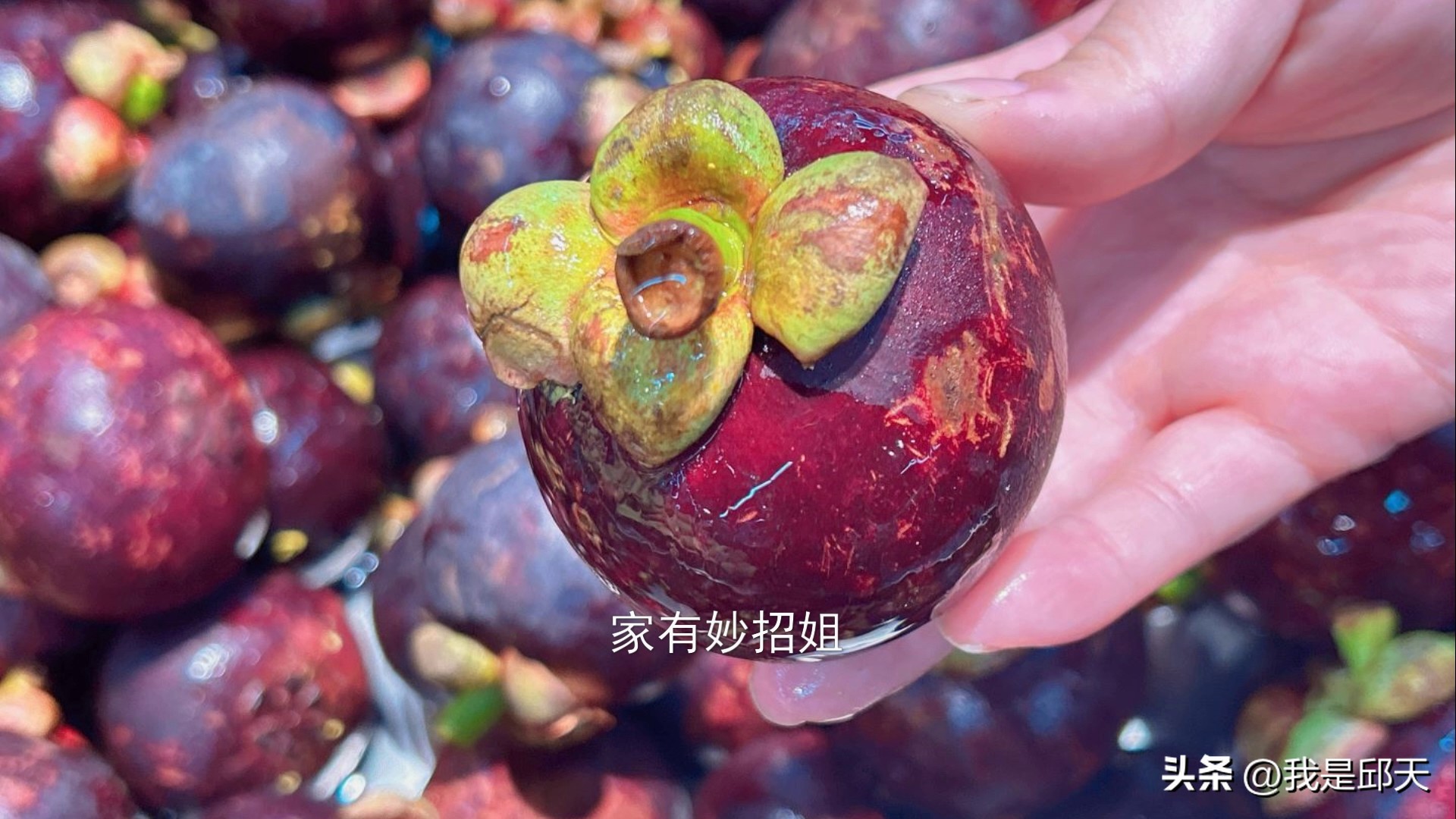 买的山竹里面皮黄了是坏的吗,买的山竹太硬