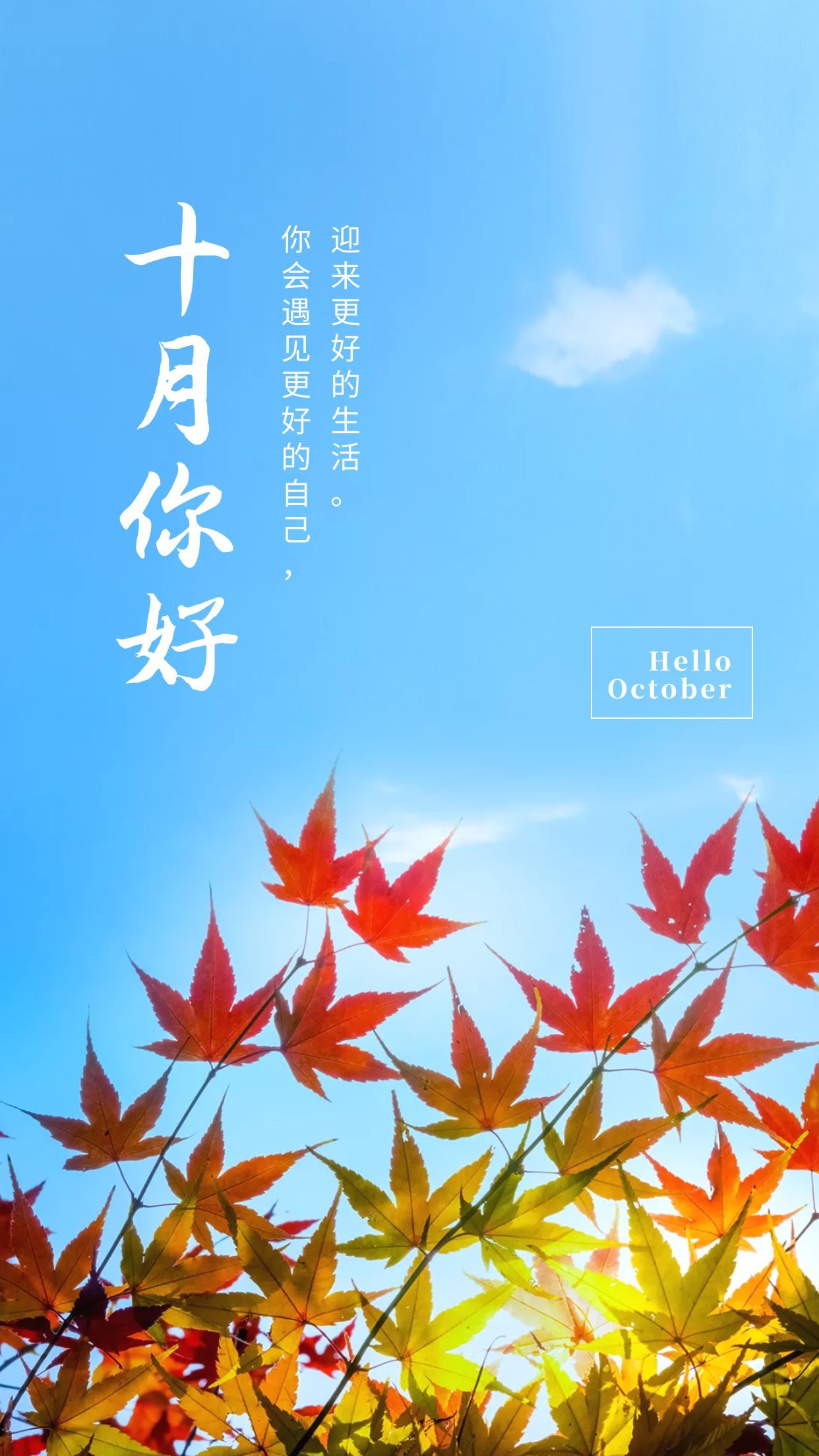 十二月你好文案配图抖音,关于九月再见十月你好的抖音句子