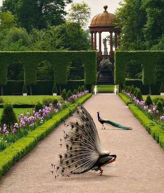 如何设计一个小型农场,农场农庄商业模式设计