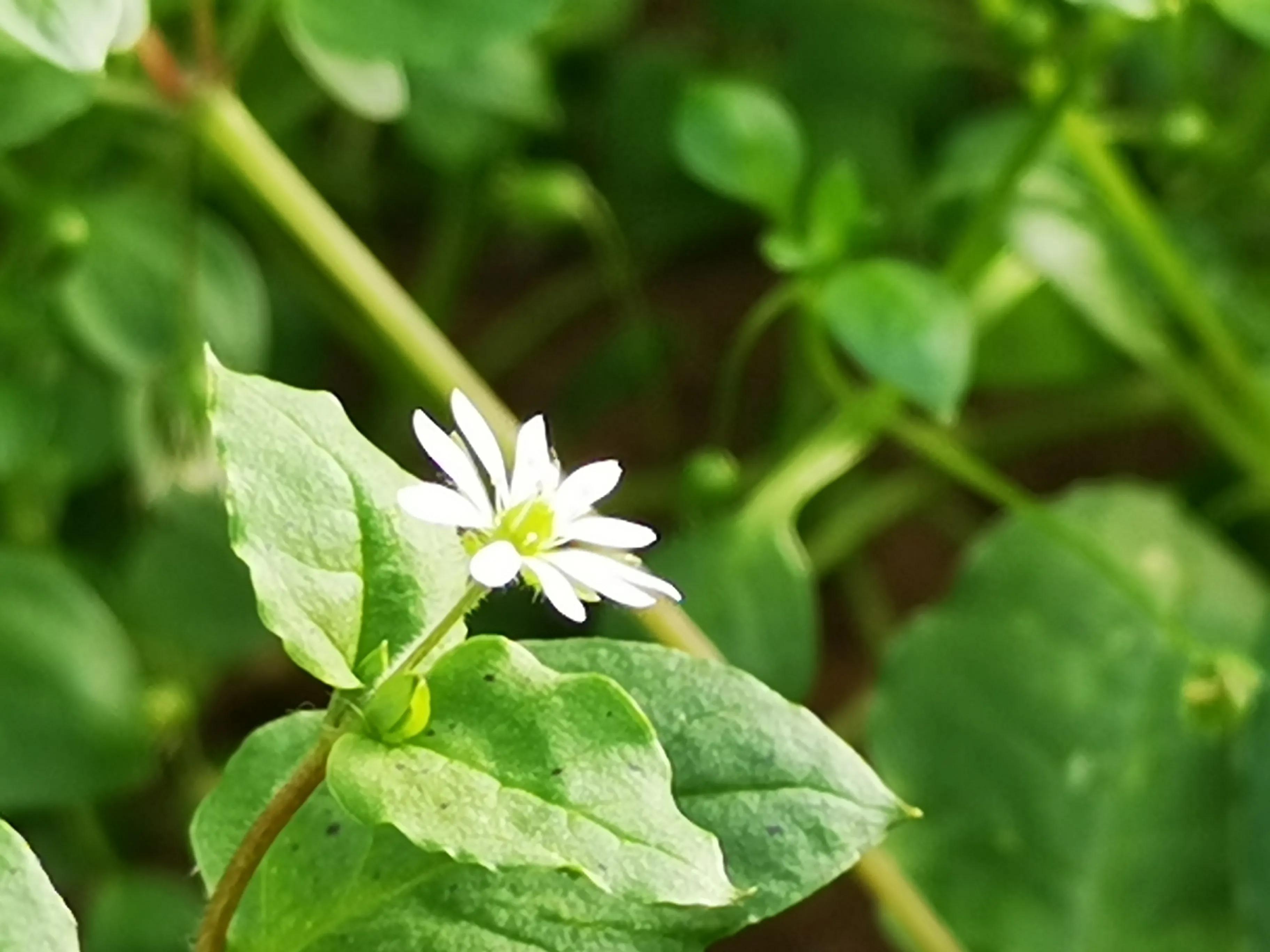 九天休闲谷最新消息,九天休闲谷门票