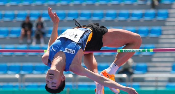 禹相赫和张国伟,禹相赫和张国伟谁厉害