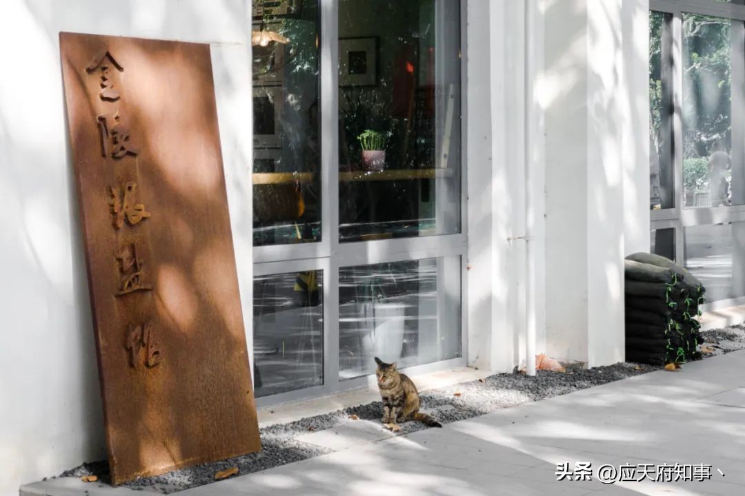 南京板仓街规划图,南京板仓街属于哪个区