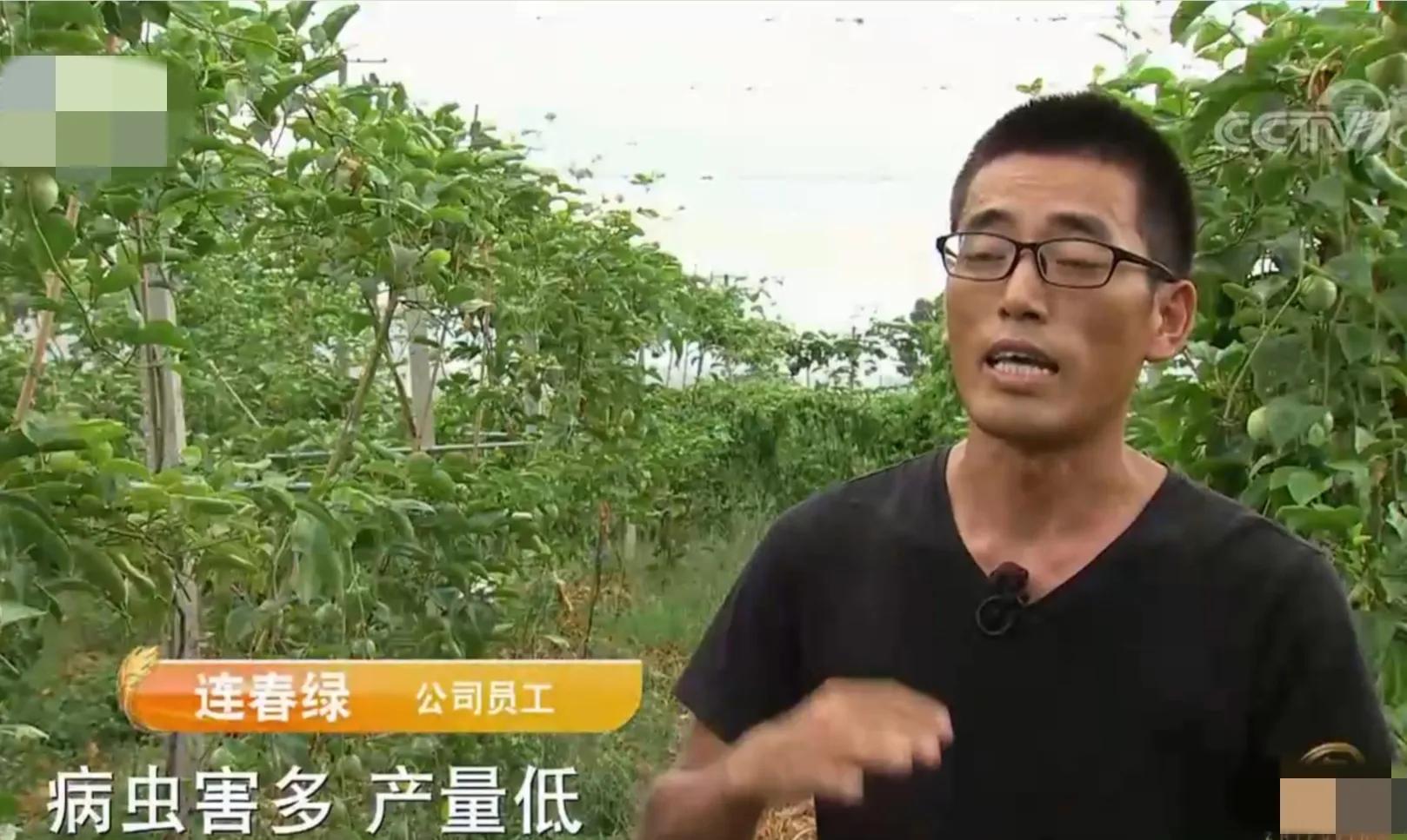 90后小伙承包15亩果园,湖南小伙承包五千亩四年赚上千万